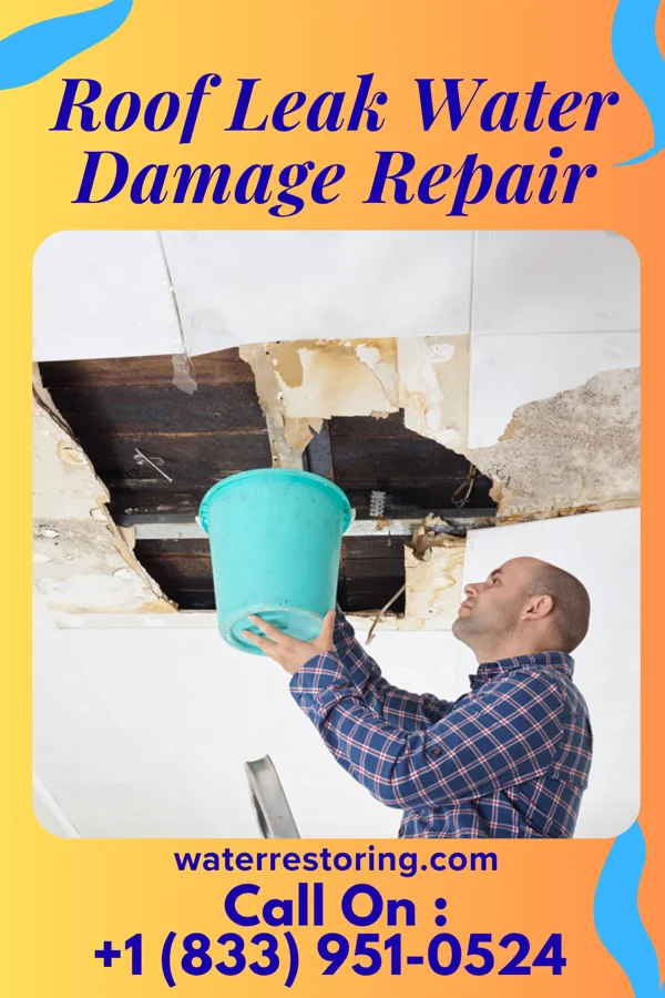 Roof Leak Water Damage Repair in Bowdon, ND